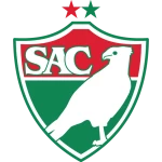 Salgueiro Logo