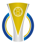 Brasileirão Serie C Logo